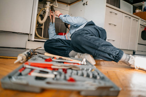  Timberlane, IL Plumbing Pros