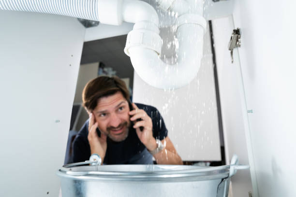 Best Leak Detection Services  in Timberlane, IL