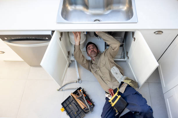 Best Clogged Drain Plumber  in Timberlane, IL