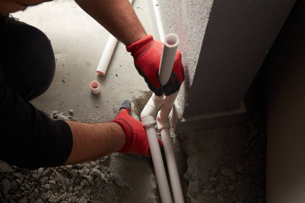 Best Plumbing Inspection Services  in Timberlane, IL