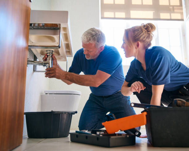 Best Affordable Plumbing Services  in Timberlane, IL